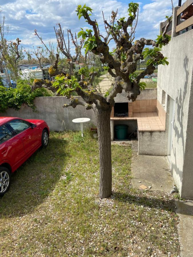 Appt Avec Parking, Clim, Wifi A 50 M De La Plage パラヴァ・レ・フロ エクステリア 写真